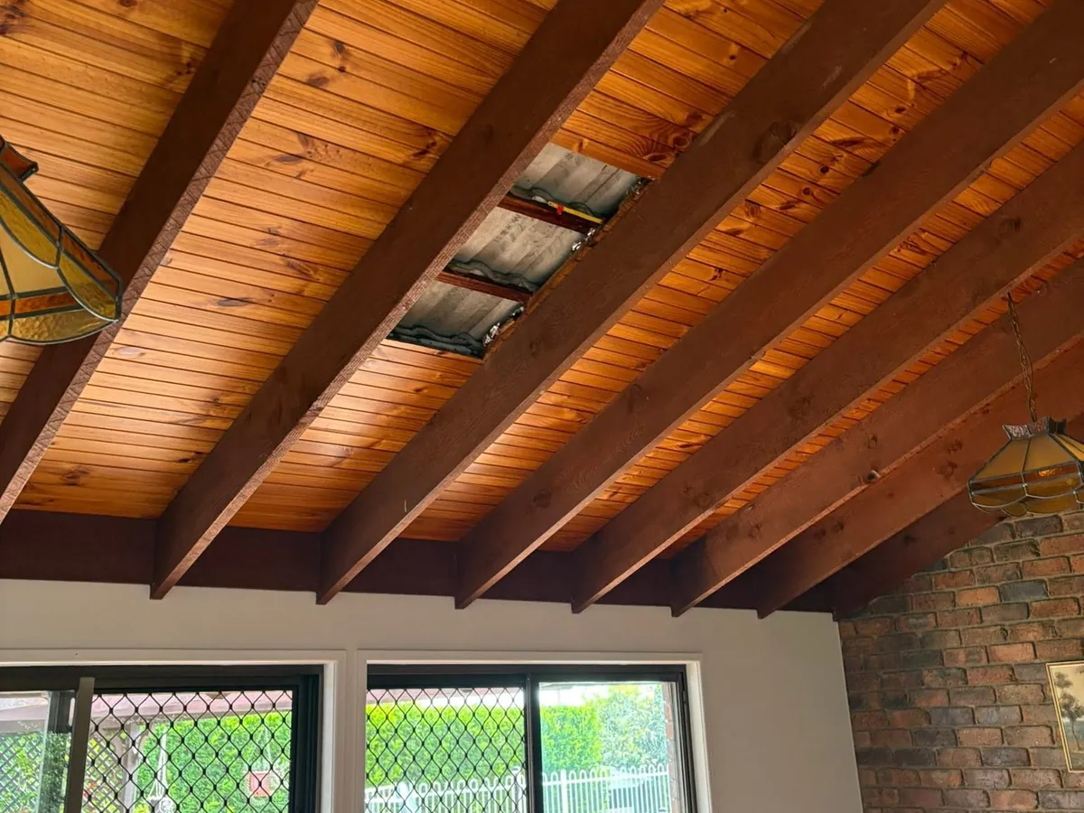 Raked timber ceiling with old translucent roof sheets